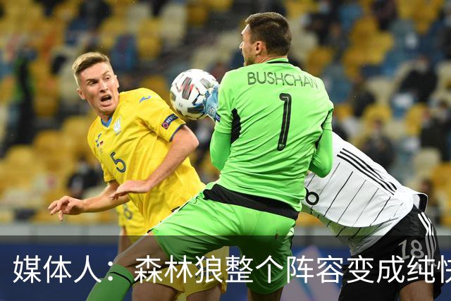 媒体人：森林狼整个阵容变成纯快节奏抢投了 球队也梭哈了